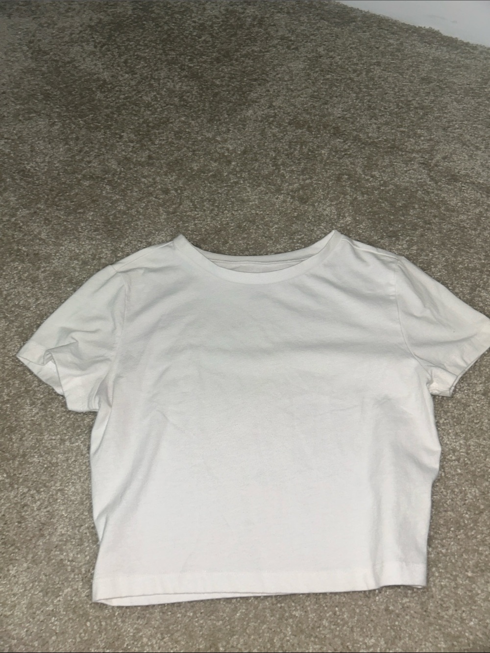 wild fable White Cropped Crewneck Tee